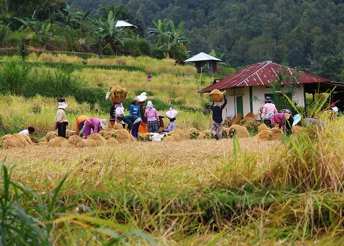 Melanting 2* Munduk